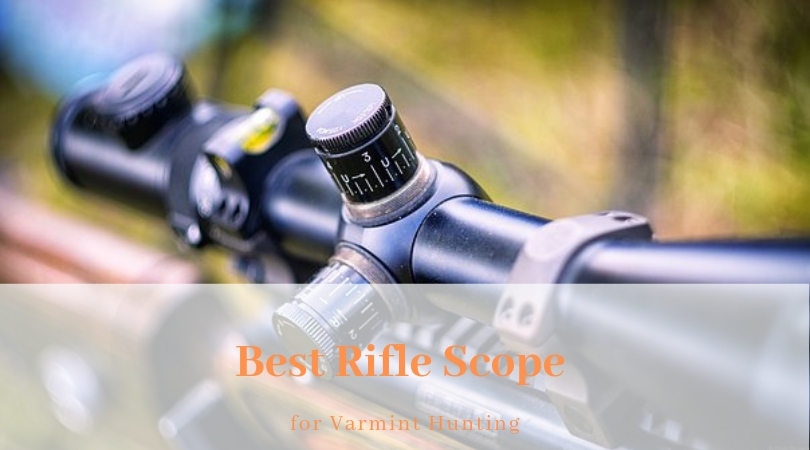 Best Rifle Scope