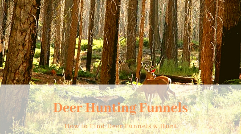 Deer Hunting Funnels