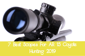 Best scopes for Ar 15 coyote hunting
