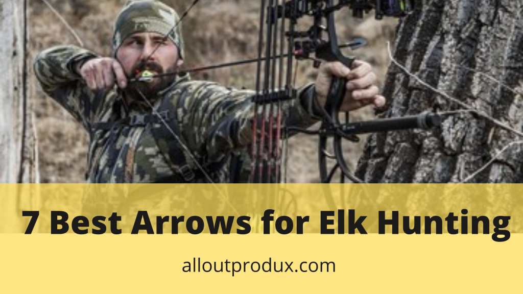 7 Best Bowhunting Arrows for Elk and Deer 2024 AlloutProdux