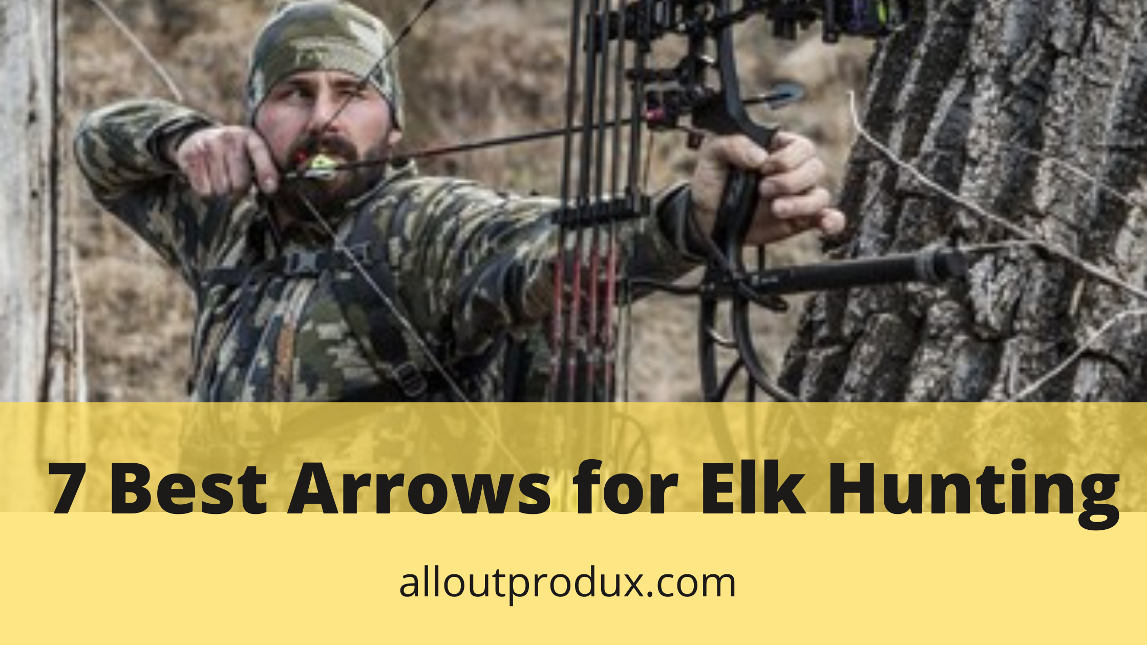a hunter using a crossbow to shoot an elk with an elk arrow in the woods