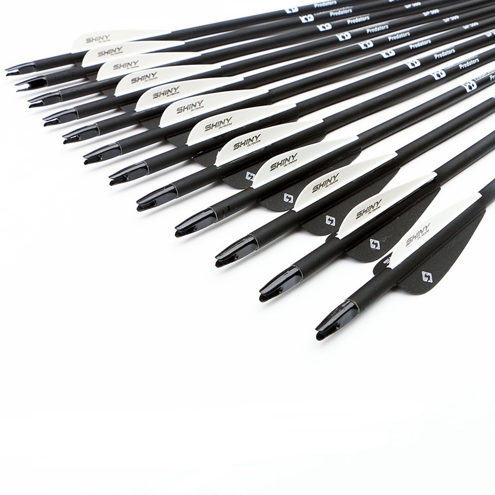 a black set of 12 peices of Tiger Archery Carbon arrows