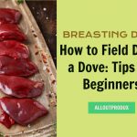 How to Field Dress a Dove: Tips for Beginners