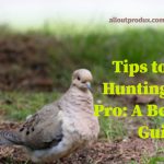 Tips To Dove Hunting Like A Pro: A Beginners Guide