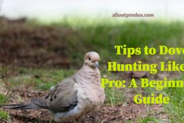 Tips To Dove Hunting Like A Pro: A Beginners Guide